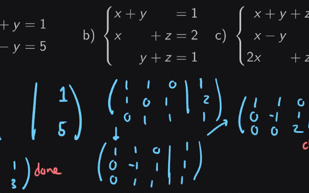 Jason Qin studies “Linear Algebra with Applications” at Yale University.